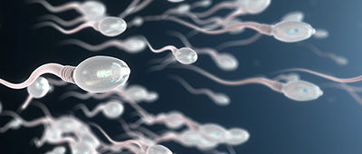 Men: Is it time to give your sperm a helping hand?