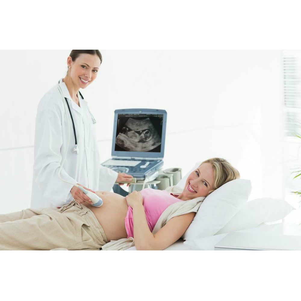 Early Pregnancy Scan + Clinical Review